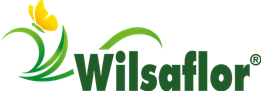 Wilsaflor_Logo_4c